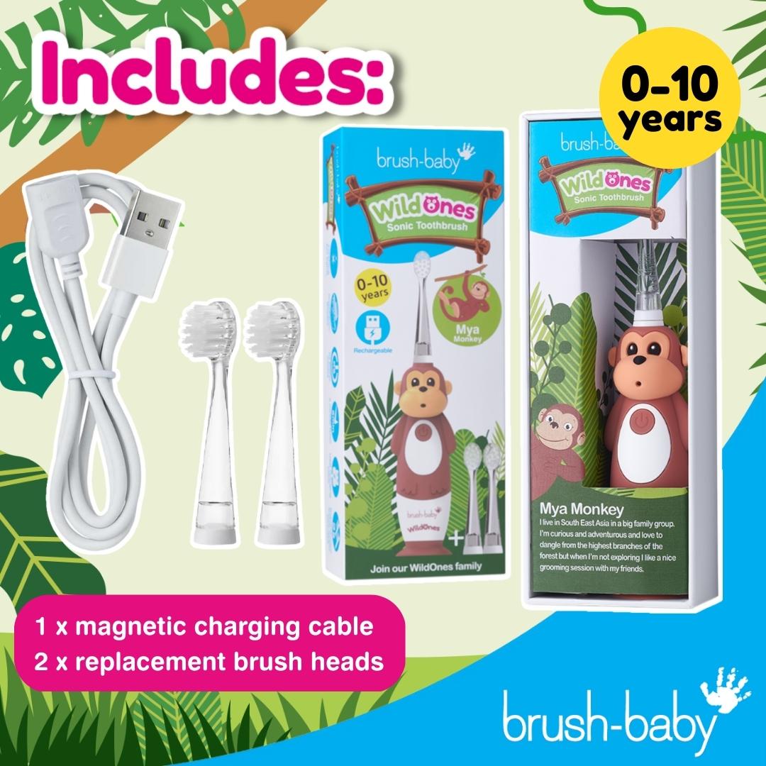 brush baby best toothbrush toddler with charger and toothbrush timer