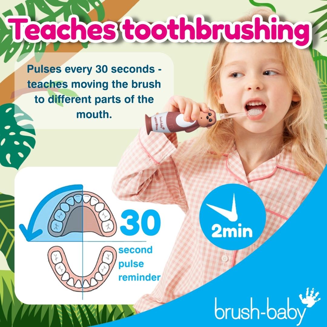 brush baby dentist recommended toothbrush | teaching children the importance of toothbrushing
