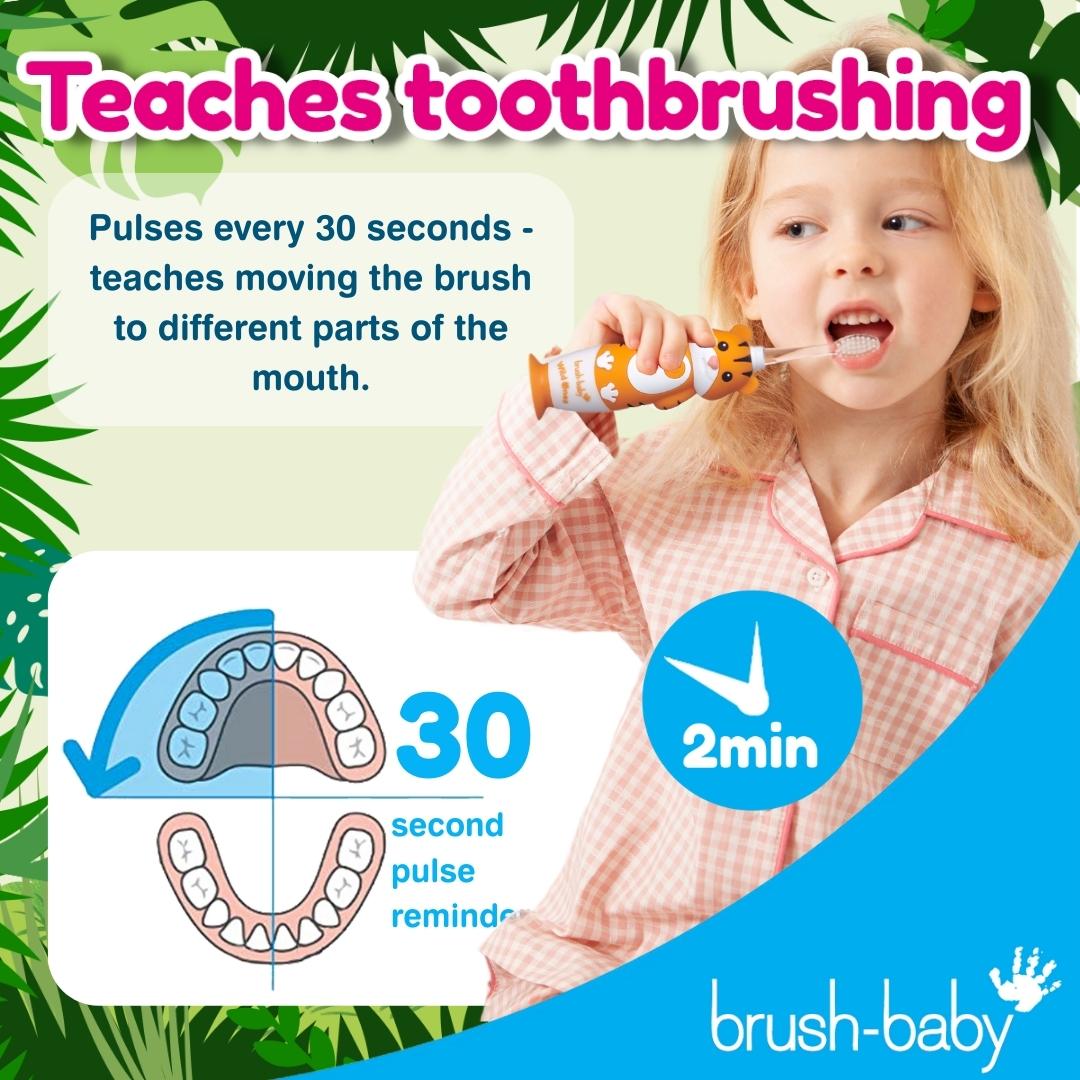 brush baby electric toothbrush for kids dentist recommended toothbrush