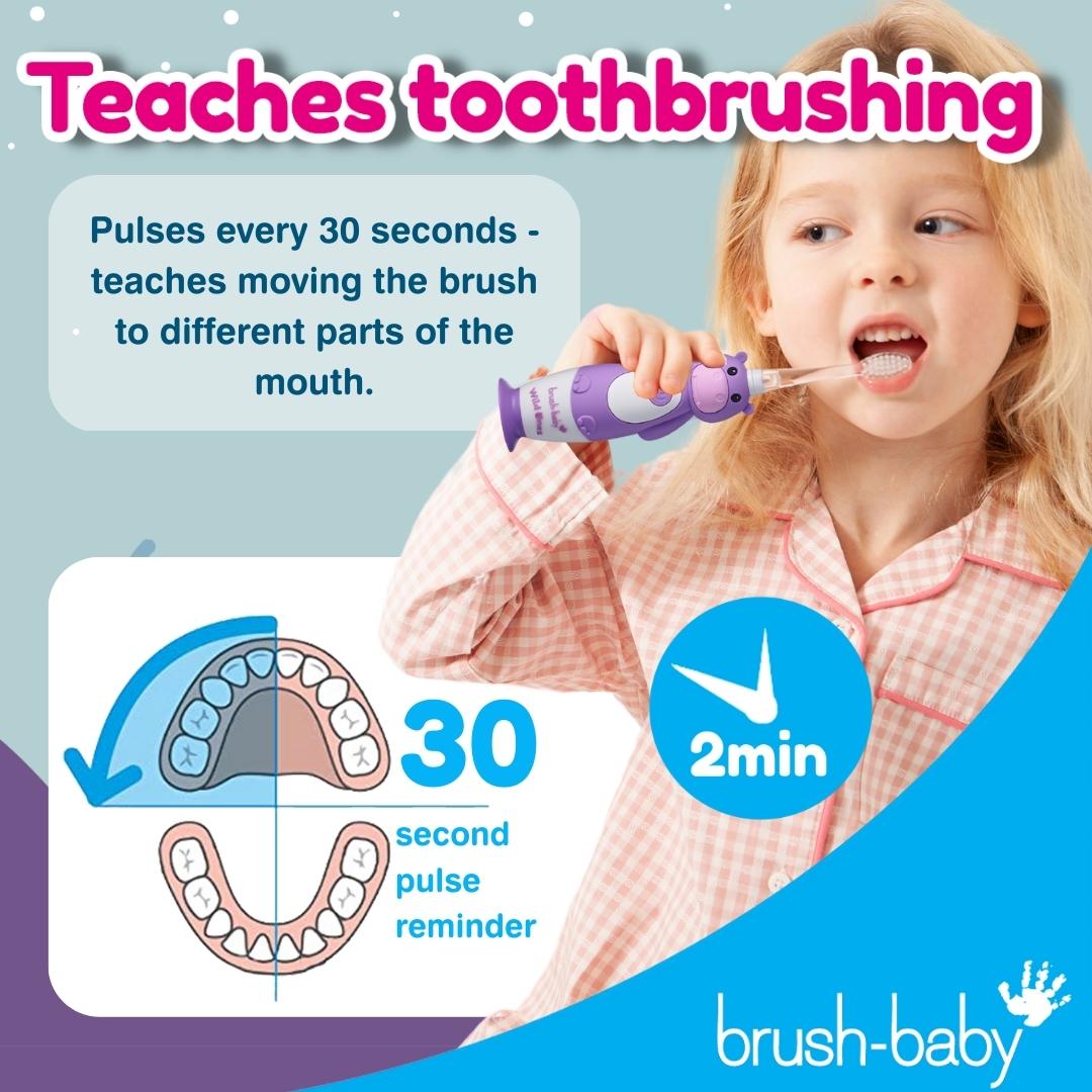 brush baby childrens electric toothbrush teaches the importance of toothbrushing