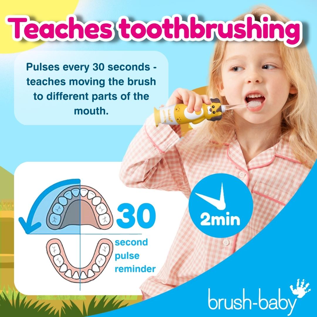 brush baby dentist recommended toothbrush teaches toothbrushing to children
