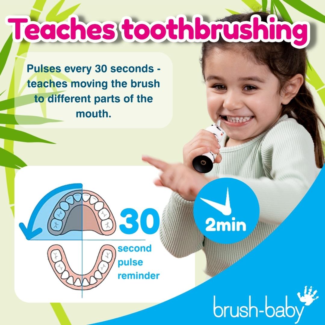 brush baby electric toothbrush for toddler dentist recommended toothbrush