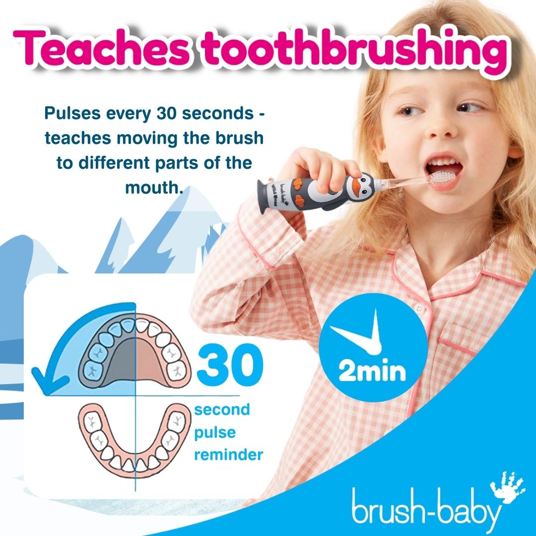 brush baby first electric toothbrush with toothbrush timer